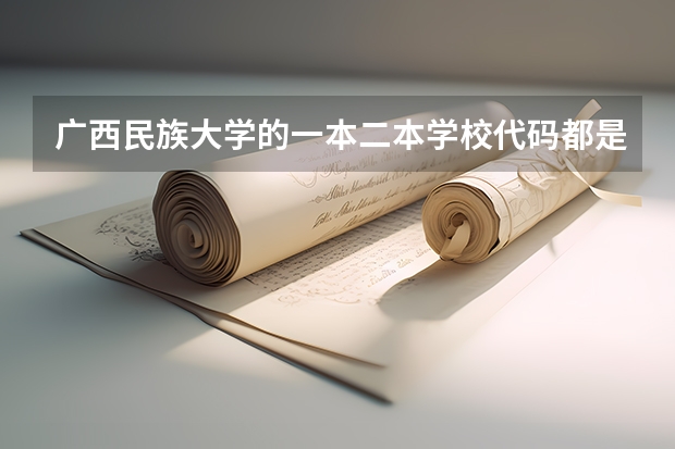 广西民族大学的一本二本学校代码都是一样的吗.com