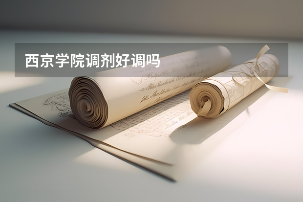西京学院调剂好调吗
