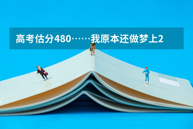 高考估分480……我原本还做梦上2本呢…………
