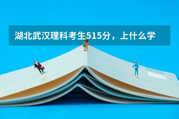 湖北武汉理科考生515分，上什么学校好啊，要本地院校