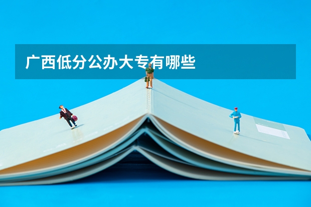 广西低分公办大专有哪些