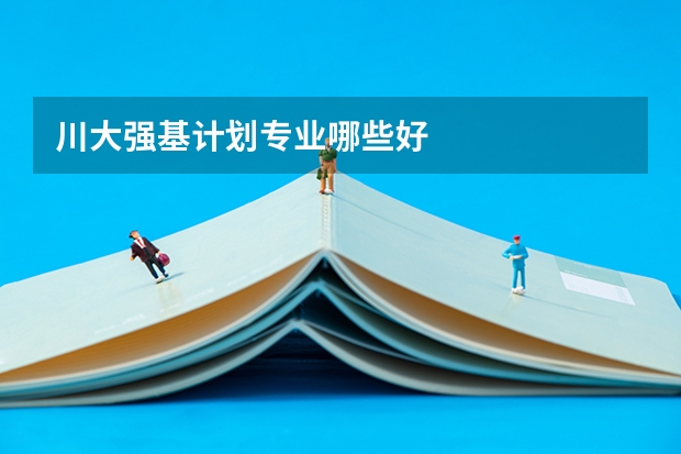 川大强基计划专业哪些好