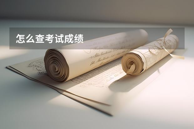 怎么查考试成绩